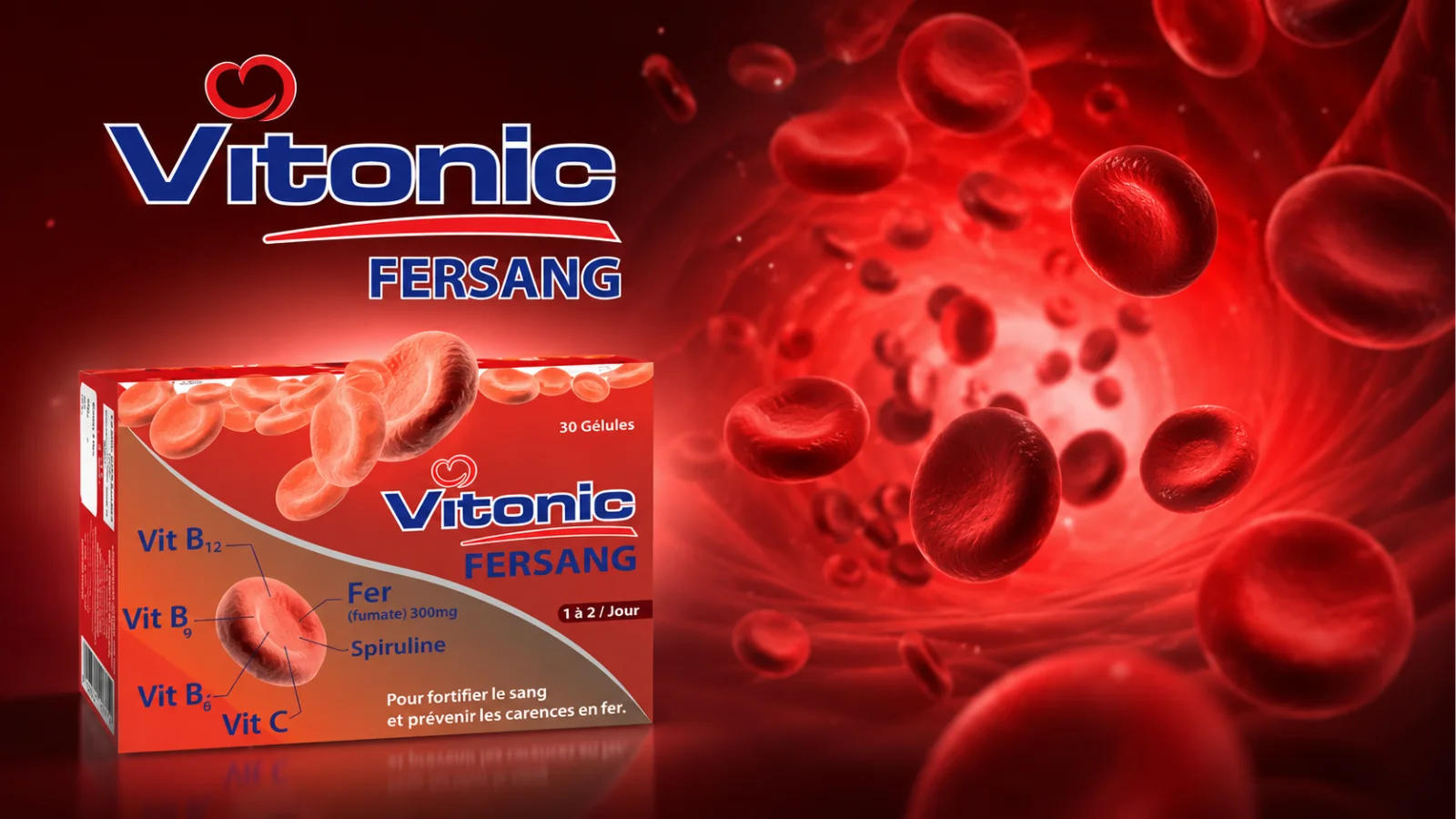vitonic bannière